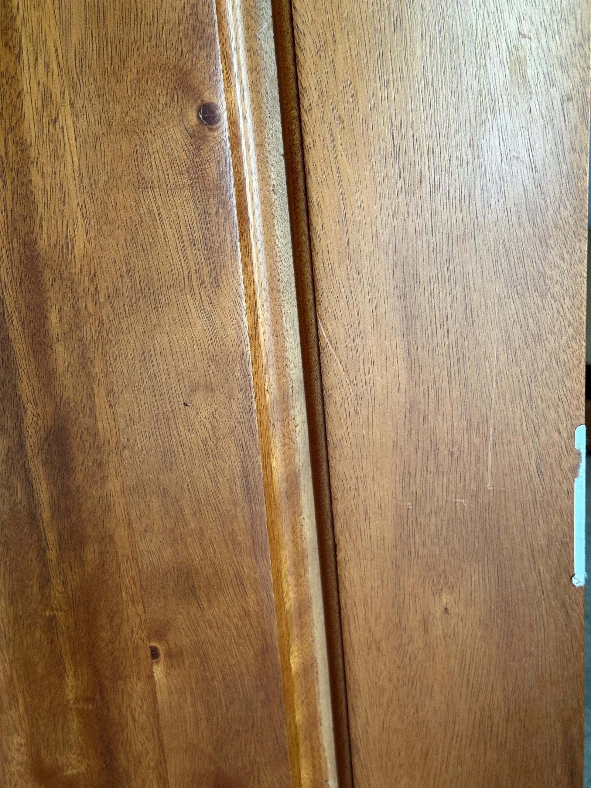 Hand-carved Brazilian Mahogany Entryway Doors - Toucans Door