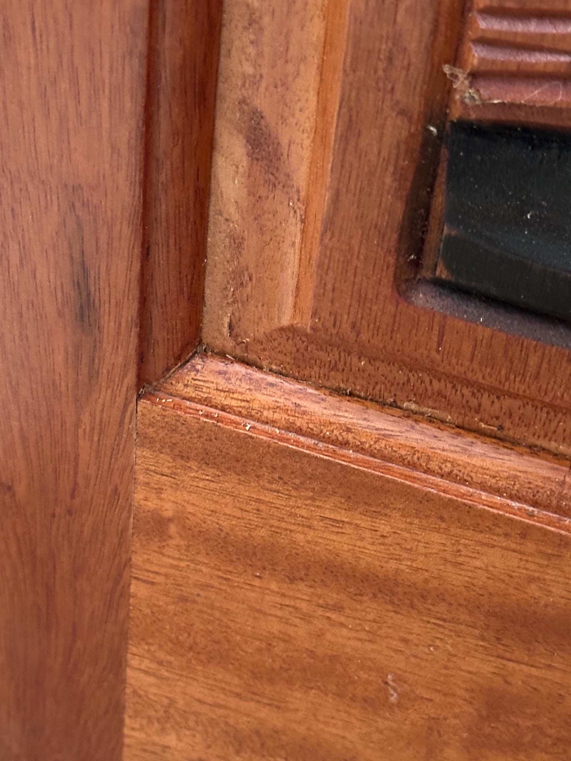 Hand-carved Brazilian Mahogany Entryway Doors - Toucans Door