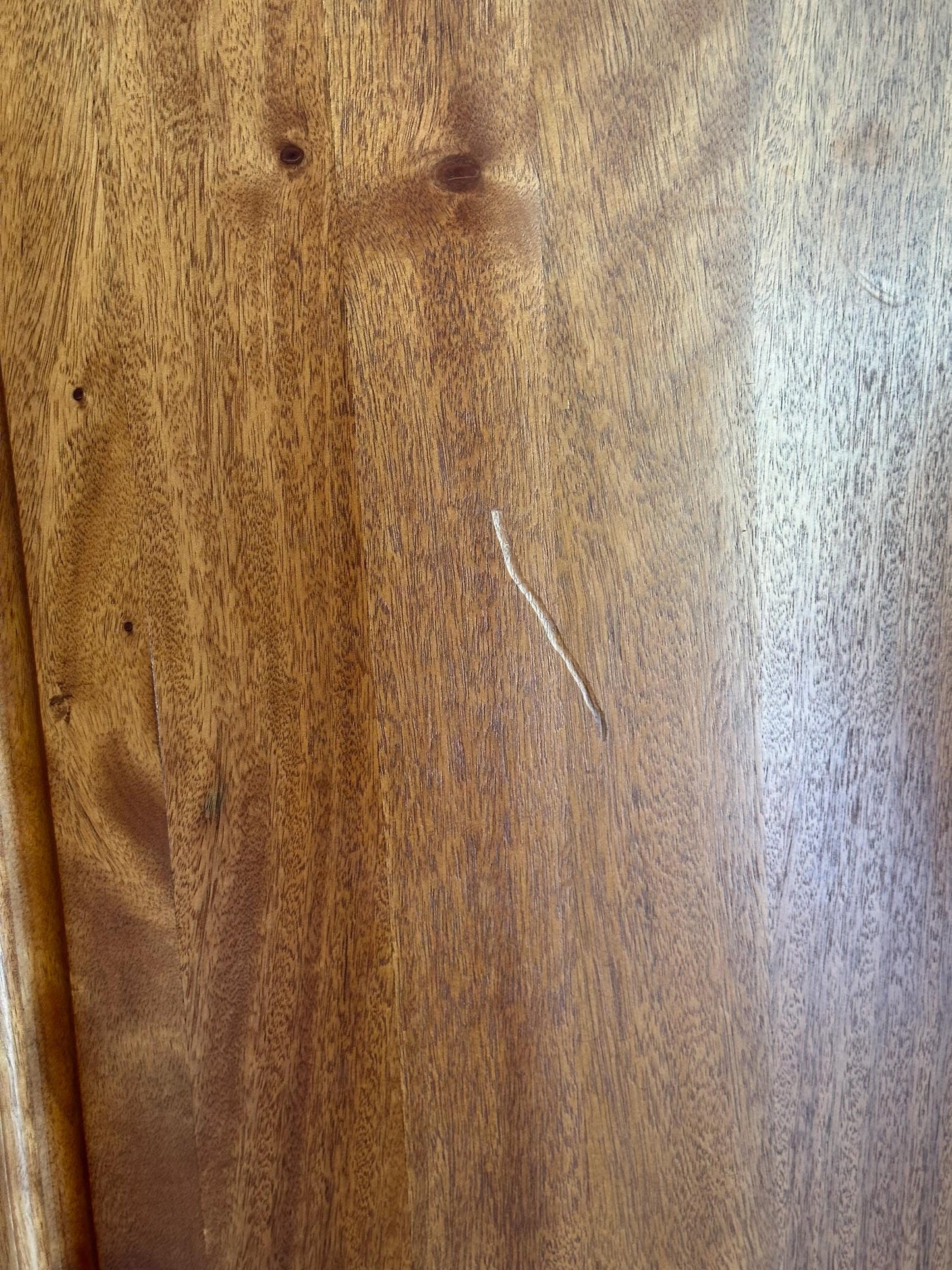 Hand-carved Brazilian Mahogany Entryway Doors - Toucans Door